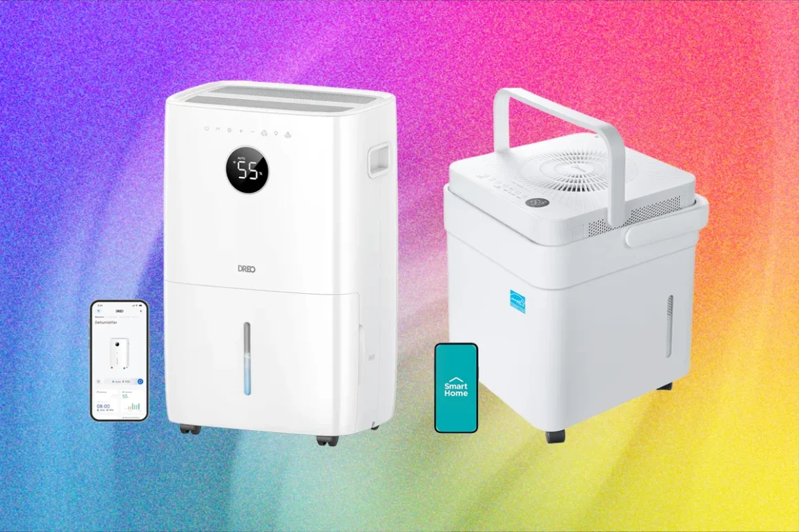 6 Best Dehumidifiers to Fight Mold and Muggy Summers (2026)