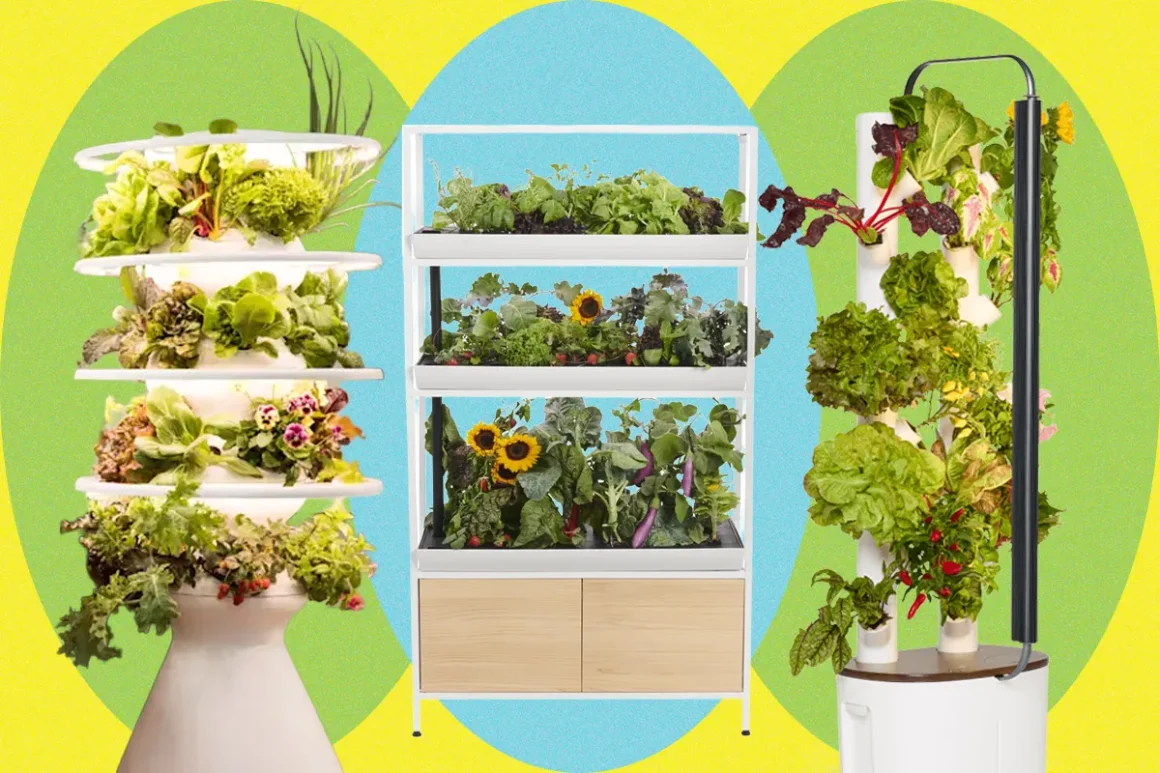 Best Indoor Garden Systems I’ve Been Testing All Year (2026)