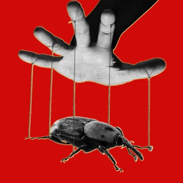The PHP Meltdown Shows How AI Makes Bugs More Exploitable